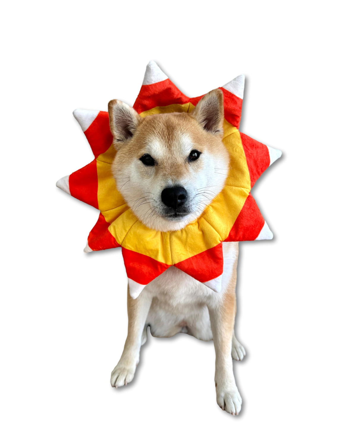 ComfyCamper Dog Candy Corn Neck Collar Costume - XXS Small Medium XL XXL Pumpkin Cosplay Halloween Costumes L