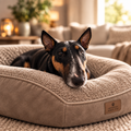 Bull terrier resting on orthopedic memory foam pet lounger
